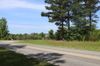 Youngblood & Star Road photo